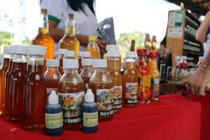notícia: Feira do Ideflor-Bio oferece produtos sustentáveis no Parque do Utinga