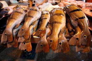 notícia: Produção de pescado é apreciada por turistas em Marabá e tem apoio da Emater