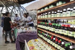 notícia: Feira de produtos naturais encerra Festa da Árvore no Parque do Utinga