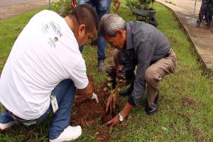 notícia: Pacientes superam o câncer e plantam árvores em homenagem à vida