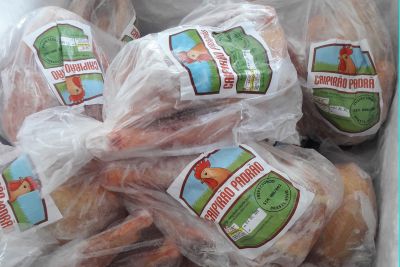 galeria: Abatedouro de frango caipira é exemplo em Brasil Novo