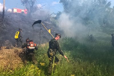 galeria: Bombeiros do Estado treinam militares no combate a incêndios florestais