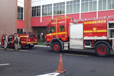 galeria: Bombeiros lançam Operação Fênix: Combate às queimadas do Pará