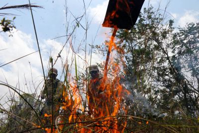 notícia: Bombeiros lançam Operação Fênix: Combate às queimadas do Pará 
