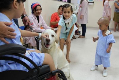 notícia: Hospital promove primeira visita de um animal para os pacientes