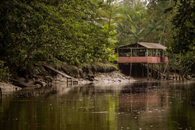 notícia: Estudo traz recomendações de apoio à sustentabilidade do Pará até 2030