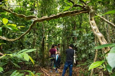notícia: Setur atua no desenvolvimento do ecoturismo no Pará