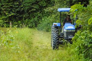notícia: Unidade Agropecuária de Santa Rosa recebe serviços de  limpeza  