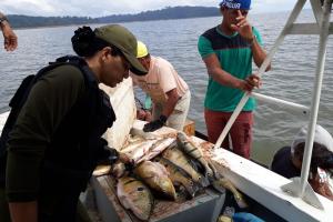 galeria: Fiscalização apreende mais de 5 toneladas de pescado