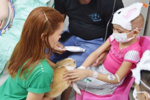 galeria: Hospital de Santarém promove reabilitação de pacientes com auxílio de animais