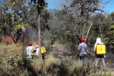 notícia: Equipe de brigadistas combate focos de incêndios em São Geraldo do Araguaia