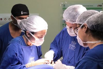 notícia: Santa Casa realiza cirurgias para reconstrução de orelha com malformação