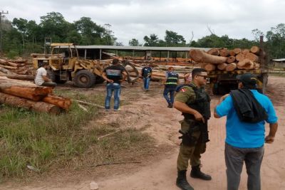 notícia: Sefa apreende 800 metros de madeira irregular em Baião