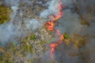 notícia: Operação Fênix continua trabalhando no combate a queimadas no Pará