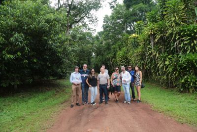 notícia: Jornalistas conhecem técnicas de melhoramento da produção de cacau no Pará 