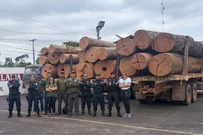 notícia: Seis caminhões carregados de madeira ilegal são apreendidos em Tucuruí