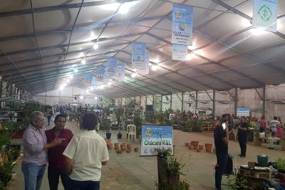 notícia: Santarém recebe exposição de flores e plantas ornamentais até domingo 
