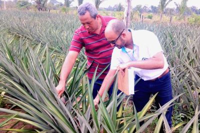 notícia: Agricultor de Marabá recebe apoio da Emater e aumenta produção