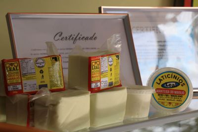 notícia: Emater e Sedap investem na melhoria da qualidade do queijo do Marajó