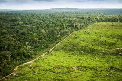 notícia: Estado promove ação integrada de regularização fundiária em São Félix do Xingu