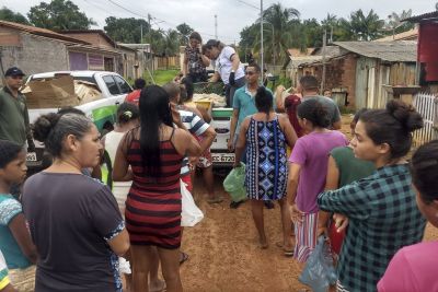notícia: Operação integrada combate crimes ambientais no sudeste paraense