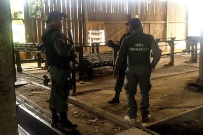 notícia: Empresa de beneficiamento de madeira sem cadastro é fechada em Altamira
