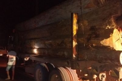 notícia: Fiscalização na rodovia PA-263 apreende caminhões com madeira ilegal