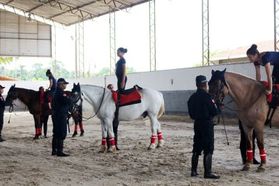 notícia: Polícia Militar realiza “Natal dos Cavalos” com apresentações de atividades do Centro de Equoterapia