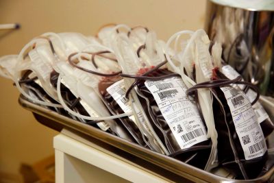 notícia: Ophir Loyola necessita de maior número de doadores de sangue