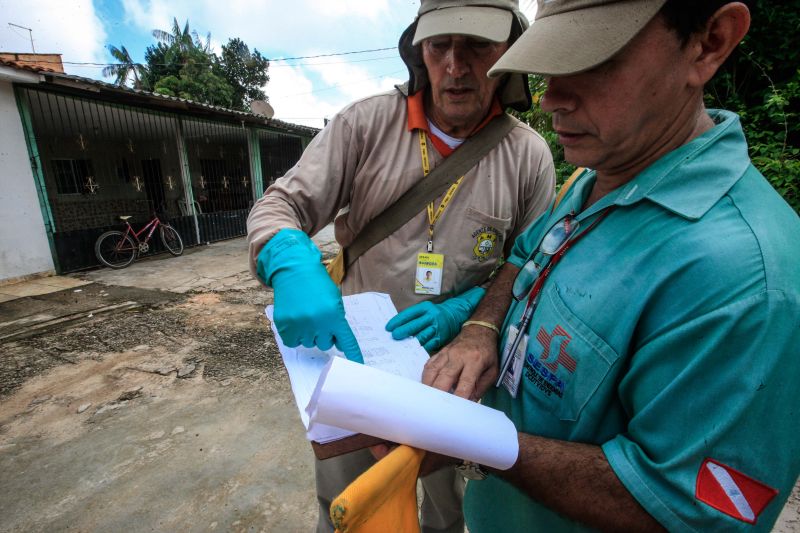 O mosquito Aedes aegypti é transmissor da dengue, zika e febre chikungunya, doenças que exigem atenção constante da saúde pública e da população brasileira. No início do ano, é preciso um cuidado ainda maior, pois o período – marcado por chuvas frequentes – é mais propício à proliferação do mosquito. <div class='credito_fotos'>Foto: JADER PAES / AG. PARÁ   |   <a href='/midias/2020/originais/5879_4229be62-e48c-4839-0a29-54becdc390f3.jpg' download><i class='fa-solid fa-download'></i> Download</a></div>