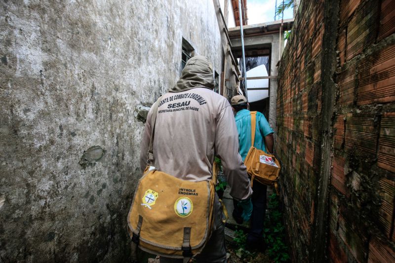 O mosquito Aedes aegypti é transmissor da dengue, zika e febre chikungunya, doenças que exigem atenção constante da saúde pública e da população brasileira. No início do ano, é preciso um cuidado ainda maior, pois o período – marcado por chuvas frequentes – é mais propício à proliferação do mosquito. <div class='credito_fotos'>Foto: JADER PAES / AG. PARÁ   |   <a href='/midias/2020/originais/5879_48a6fe33-f156-f7e9-5b64-12d97009f10d.jpg' download><i class='fa-solid fa-download'></i> Download</a></div>