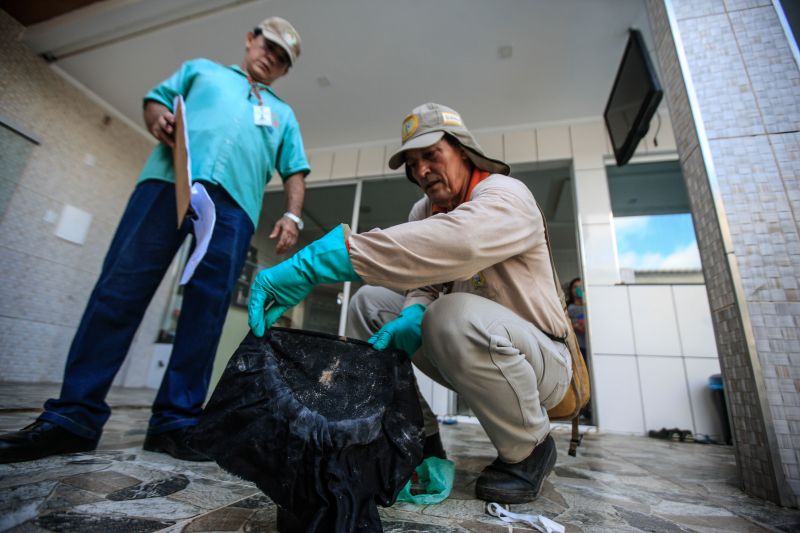 O mosquito Aedes aegypti é transmissor da dengue, zika e febre chikungunya, doenças que exigem atenção constante da saúde pública e da população brasileira. No início do ano, é preciso um cuidado ainda maior, pois o período – marcado por chuvas frequentes – é mais propício à proliferação do mosquito. <div class='credito_fotos'>Foto: JADER PAES / AG. PARÁ   |   <a href='/midias/2020/originais/5879_4e2aa85e-5904-0beb-ae28-d5d1965dc5c8.jpg' download><i class='fa-solid fa-download'></i> Download</a></div>