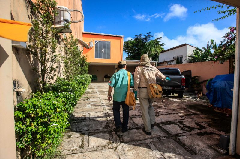 O mosquito Aedes aegypti é transmissor da dengue, zika e febre chikungunya, doenças que exigem atenção constante da saúde pública e da população brasileira. No início do ano, é preciso um cuidado ainda maior, pois o período – marcado por chuvas frequentes – é mais propício à proliferação do mosquito. <div class='credito_fotos'>Foto: JADER PAES / AG. PARÁ   |   <a href='/midias/2020/originais/5879_87721f91-61e3-8f0b-3650-bf264a5a25a1.jpg' download><i class='fa-solid fa-download'></i> Download</a></div>