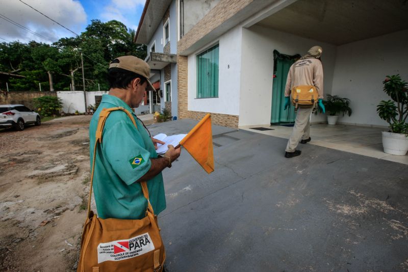 O mosquito Aedes aegypti é transmissor da dengue, zika e febre chikungunya, doenças que exigem atenção constante da saúde pública e da população brasileira. No início do ano, é preciso um cuidado ainda maior, pois o período – marcado por chuvas frequentes – é mais propício à proliferação do mosquito. <div class='credito_fotos'>Foto: JADER PAES / AG. PARÁ   |   <a href='/midias/2020/originais/5879_a0035429-9135-1cff-8a7c-02f2885edefd.jpg' download><i class='fa-solid fa-download'></i> Download</a></div>