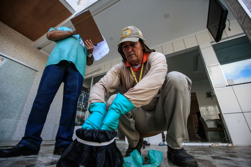 O mosquito Aedes aegypti é transmissor da dengue, zika e febre chikungunya, doenças que exigem atenção constante da saúde pública e da população brasileira. No início do ano, é preciso um cuidado ainda maior, pois o período – marcado por chuvas frequentes – é mais propício à proliferação do mosquito. <div class='credito_fotos'>Foto: JADER PAES / AG. PARÁ   |   <a href='/midias/2020/originais/5879_b3e5d308-6086-11f9-2487-521873d458ee.jpg' download><i class='fa-solid fa-download'></i> Download</a></div>