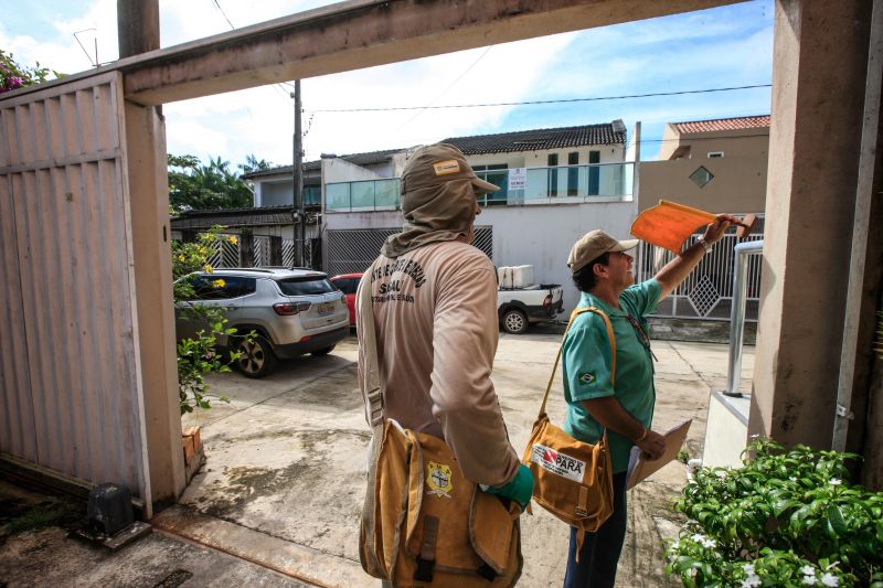 O mosquito Aedes aegypti é transmissor da dengue, zika e febre chikungunya, doenças que exigem atenção constante da saúde pública e da população brasileira. No início do ano, é preciso um cuidado ainda maior, pois o período – marcado por chuvas frequentes – é mais propício à proliferação do mosquito. <div class='credito_fotos'>Foto: JADER PAES / AG. PARÁ   |   <a href='/midias/2020/originais/5879_e3df1c7f-9cc1-d32d-9984-bbc0eb81054f.jpg' download><i class='fa-solid fa-download'></i> Download</a></div>