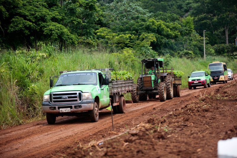  <div class='credito_fotos'>Foto: Pedro Guerreiro / Ag. Pará   |   <a href='/midias/2020/originais/5898_e7754100-dae9-a290-7598-bfb653f6452d.jpg' download><i class='fa-solid fa-download'></i> Download</a></div>