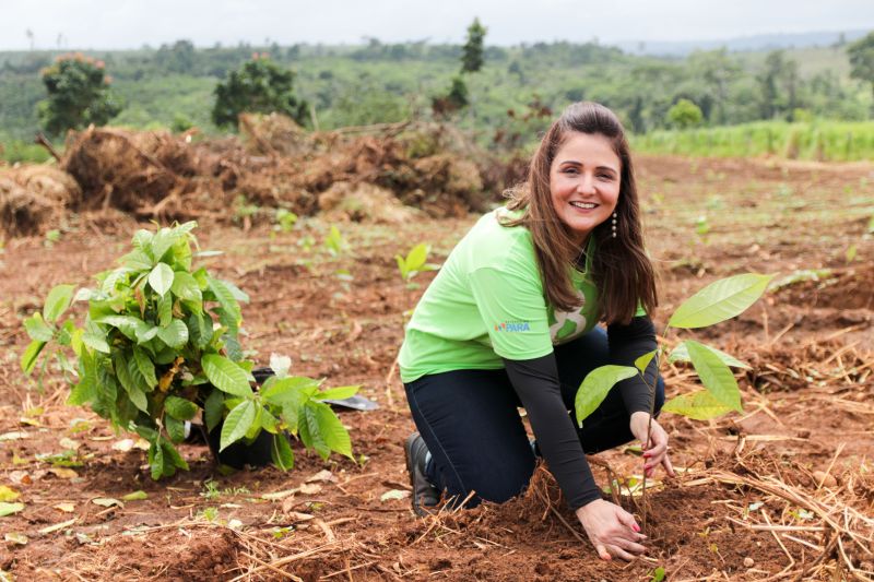 Karla Bengston  <div class='credito_fotos'>Foto: Pedro Guerreiro / Ag. Pará   |   <a href='/midias/2020/originais/5898_f69038ab-9be8-3fd5-5b58-b4036ff9acb9.jpg' download><i class='fa-solid fa-download'></i> Download</a></div>