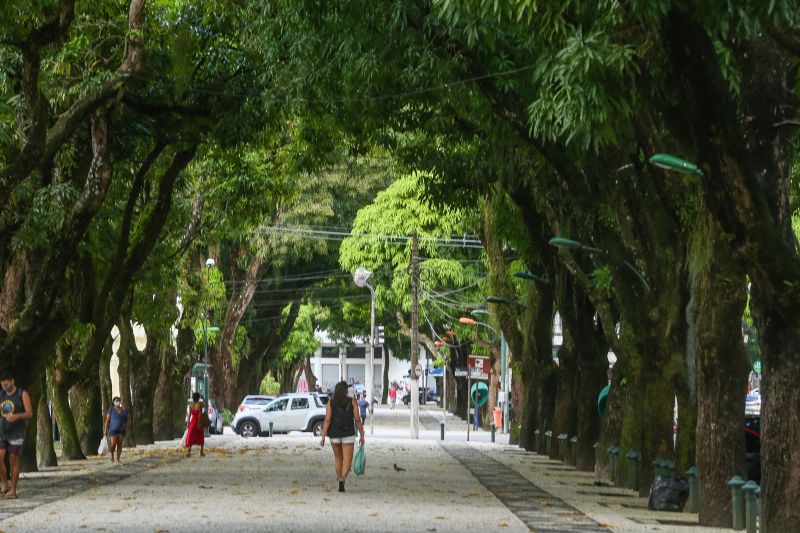 <div class='credito_fotos'>Foto: Alex Ribeiro / Ag. Pará | <a href='/midias/2020/originais/6380_6f4df5e6-b92b-5574-2a3a-5c311658047d.jpg' download><i class='fa-solid fa-download'></i> Download</a></div>