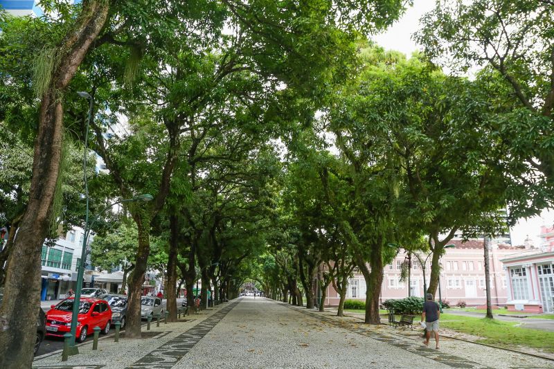 <div class='credito_fotos'>Foto: Alex Ribeiro / Ag. Pará | <a href='/midias/2020/originais/6380_e86c812c-27b8-26a1-c32a-cb92ee1f93f5.jpg' download><i class='fa-solid fa-download'></i> Download</a></div>