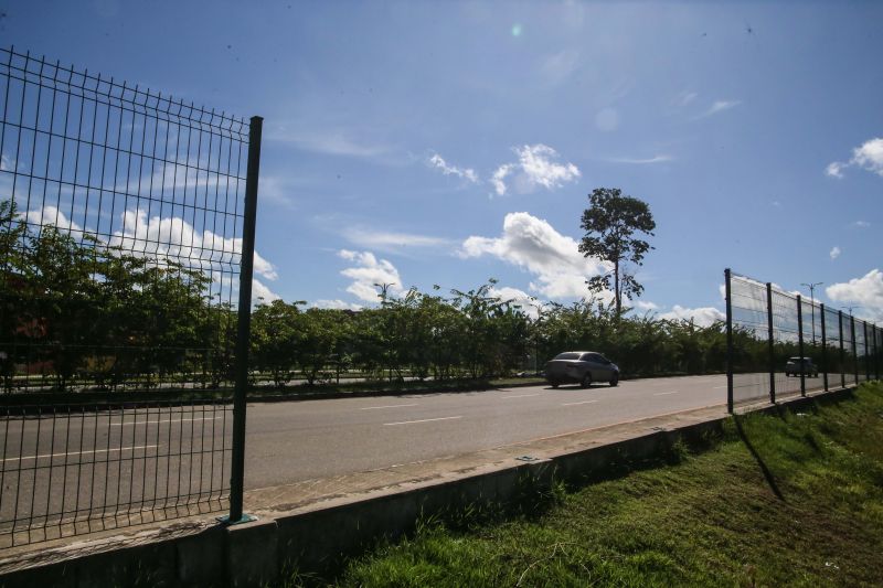 Três equipes da Secretaria de Estado de Transportes (Setran) iniciaram, nesta terça-feira (16), serviços de manutenção e conservação da avenida João Paulo II. O trabalho segue até o final deste mês com ações de limpeza do acostamento, retirada de lixo da pista, das laterais, do meio fio do canteiro central e limpeza das grades de proteção. <div class='credito_fotos'>Foto: Alex Ribeiro / Ag. Pará   |   <a href='/midias/2020/originais/6451_066e477c-3a92-7f0a-b670-3a11812fce3c.jpg' download><i class='fa-solid fa-download'></i> Download</a></div>