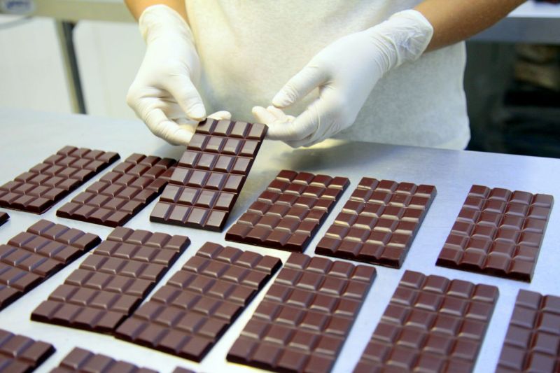 A bioeconomia cresce no Pará com o doce sabor do chocolate que chega ao Japão e à Holanda  