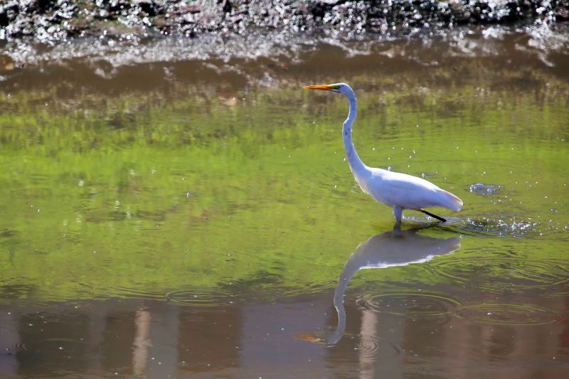  <div class='credito_fotos'>Foto: Bruno Cecim / Ag.Pará   |   <a href='/midias/2020/originais/6559_f01de34b-aa2e-0a8b-3442-1d193a96d71d.jpg' download><i class='fa-solid fa-download'></i> Download</a></div>