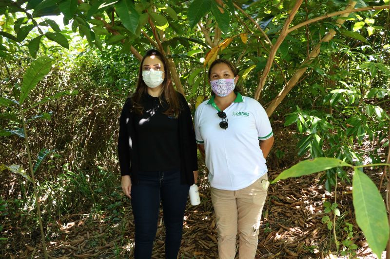Asom/Ideflor-Bio
Uma área alterada no Parque Estadual do Utinga Camillo Vianna ganhou vida nova um ano após receber o plantio de 7.800 mudas de espécies florestais e frutíferas, cultivadas entre janeiro e junho de 2019. Com plantas de mais de um metro de altura, o reflorestamento do local é fruto da implantação do Sistema Miyawaki, realizado por meio de uma parceria entre o Instituto de Desenvolvimento Florestal e da Biodiversidade do Estado do Pará (Ideflor-Bio) e o Instituto Amigos da Floresta Amazônica (Asflora). <div class='credito_fotos'>Foto: Ascom Ideflor-Bio | <a href='/midias/2020/originais/6599_3deb2272-2d8e-3562-3171-d763c49d8364.jpg' download><i class='fa-solid fa-download'></i> Download</a></div>