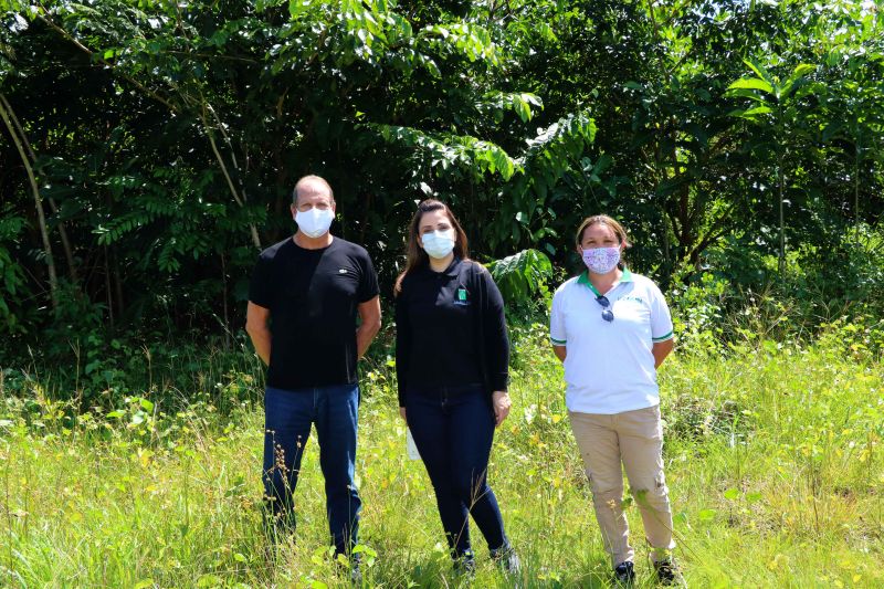 Asom/Ideflor-Bio
Uma área alterada no Parque Estadual do Utinga Camillo Vianna ganhou vida nova um ano após receber o plantio de 7.800 mudas de espécies florestais e frutíferas, cultivadas entre janeiro e junho de 2019. Com plantas de mais de um metro de altura, o reflorestamento do local é fruto da implantação do Sistema Miyawaki, realizado por meio de uma parceria entre o Instituto de Desenvolvimento Florestal e da Biodiversidade do Estado do Pará (Ideflor-Bio) e o Instituto Amigos da Floresta Amazônica (Asflora). <div class='credito_fotos'>Foto: Ascom Ideflor-Bio | <a href='/midias/2020/originais/6599_7616ece4-1ab1-00c4-74aa-a8722aae6afd.jpg' download><i class='fa-solid fa-download'></i> Download</a></div>