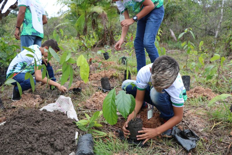Asom/Ideflor-Bio
Uma área alterada no Parque Estadual do Utinga Camillo Vianna ganhou vida nova um ano após receber o plantio de 7.800 mudas de espécies florestais e frutíferas, cultivadas entre janeiro e junho de 2019. Com plantas de mais de um metro de altura, o reflorestamento do local é fruto da implantação do Sistema Miyawaki, realizado por meio de uma parceria entre o Instituto de Desenvolvimento Florestal e da Biodiversidade do Estado do Pará (Ideflor-Bio) e o Instituto Amigos da Floresta Amazônica (Asflora). <div class='credito_fotos'>Foto: Ascom Ideflor-Bio | <a href='/midias/2020/originais/6599_cdc13754-9f93-a2d4-06a1-7d063dbd4681.jpg' download><i class='fa-solid fa-download'></i> Download</a></div>