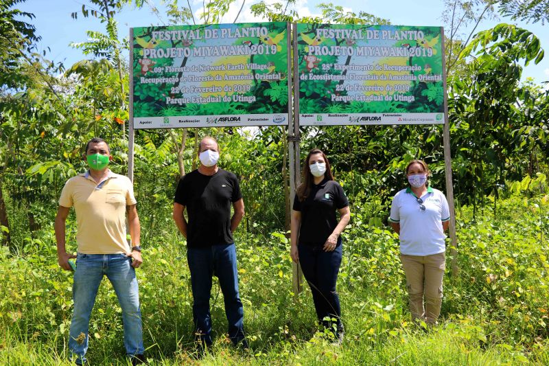 Asom/Ideflor-Bio
Uma área alterada no Parque Estadual do Utinga Camillo Vianna ganhou vida nova um ano após receber o plantio de 7.800 mudas de espécies florestais e frutíferas, cultivadas entre janeiro e junho de 2019. Com plantas de mais de um metro de altura, o reflorestamento do local é fruto da implantação do Sistema Miyawaki, realizado por meio de uma parceria entre o Instituto de Desenvolvimento Florestal e da Biodiversidade do Estado do Pará (Ideflor-Bio) e o Instituto Amigos da Floresta Amazônica (Asflora). <div class='credito_fotos'>Foto: Ascom Ideflor-Bio | <a href='/midias/2020/originais/6599_fcf79201-6e41-927a-0dfa-0bb6c8a51952.jpg' download><i class='fa-solid fa-download'></i> Download</a></div>