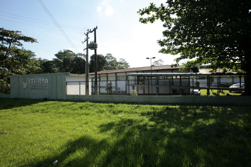 Foto: Ricardo Amanajás / Ag. Pará