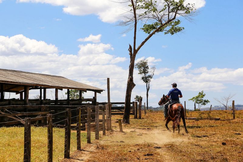  <div class='credito_fotos'>Foto: Bruno Cecim / Ag.Pará   |   <a href='/midias/2020/originais/6652_a82c764d-698e-e743-5b16-ea218096afc8.jpg' download><i class='fa-solid fa-download'></i> Download</a></div>