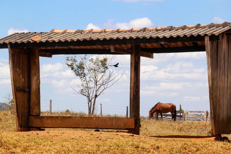  <div class='credito_fotos'>Foto: Bruno Cecim / Ag.Pará   |   <a href='/midias/2020/originais/6652_e2d60438-52a8-0cfd-726e-8837cbc928ec.jpg' download><i class='fa-solid fa-download'></i> Download</a></div>